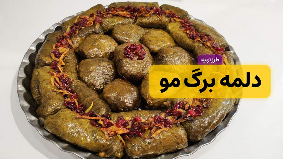 آموزش کامل طرز تهیه دلمه برگ مو با تمام فوت‌وفن‌ها