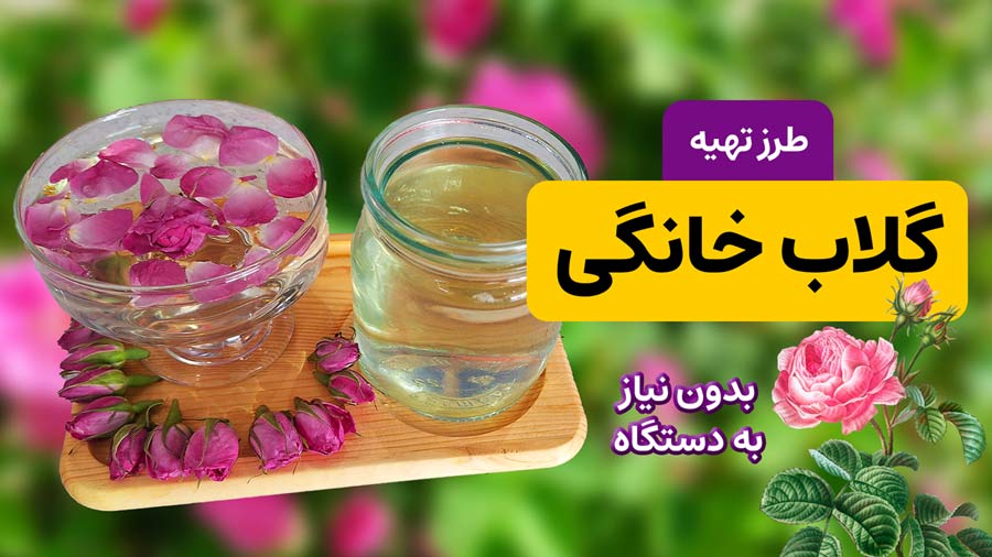 طرز تهیه گلاب خانگی خالص و خوش عطر در چند مرحله ساده