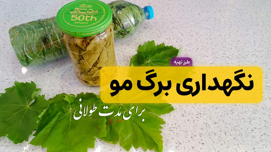 ۳ روش طلایی برای نگهداری برگ مو (تا یک سال تازه و خوشرنگ!)